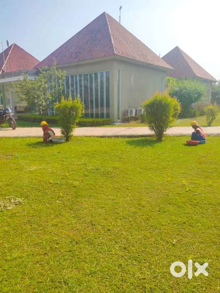 1800 sq.ft. plot for sale at old dhamtari road