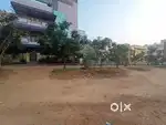 PREMIUM PLOT Perfect For Development