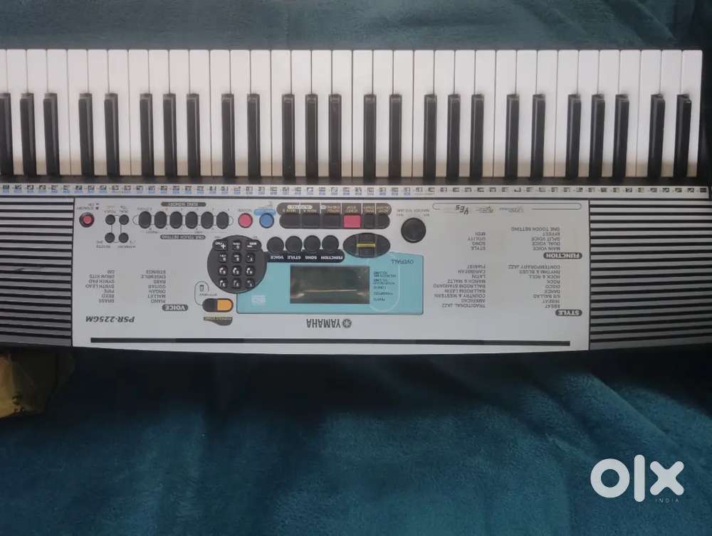 2 nos organ for special price