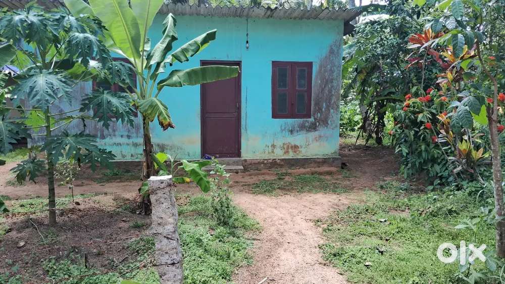 15 Cent House & Plot For Sale Kattakada