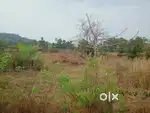Agriculture Land Sale in off Mangaon Dighi Port Road