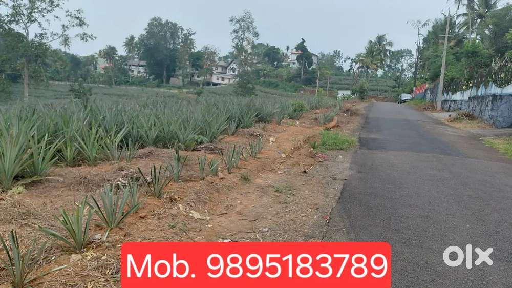 Mallappally Mukkur Junction, 1.83 Accer, Bus route side