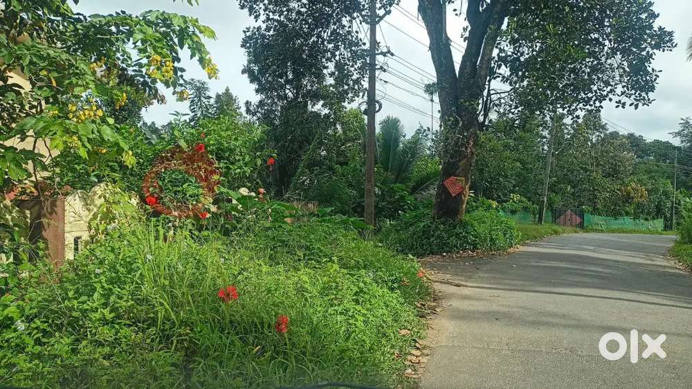 സുൽത്താൻ ബത്തേരിയിൽ കൊമേഴ്സ്യൽ ആവശ്യത്തിന് പറ്റിയ വീട് വില്പനയ്ക്ക്