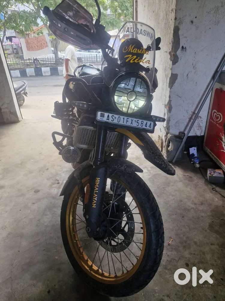 Brand new himalayan