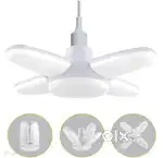 Fan Shape Bulb