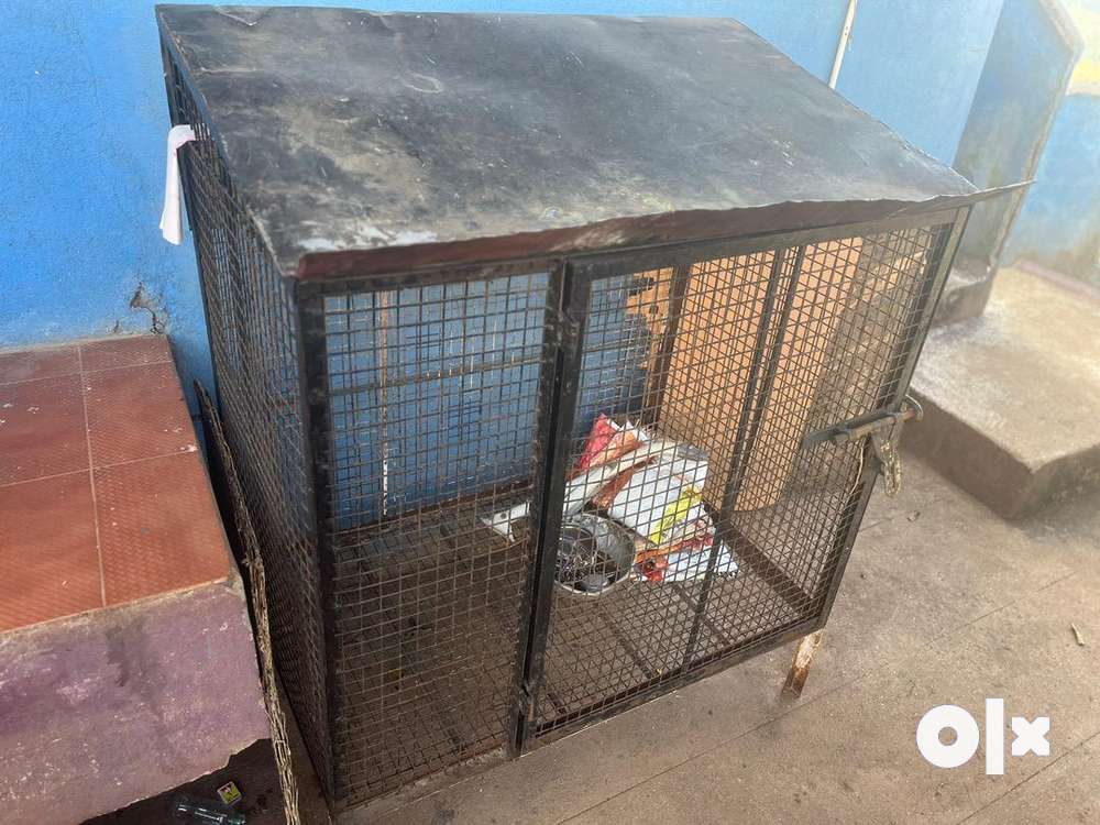 Dog cage / kennel for sale