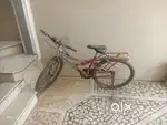 Monstar cycle