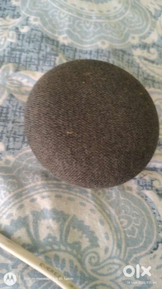 Google mini