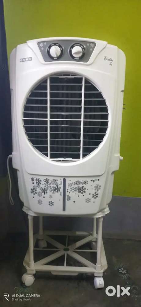 Usha Buddy 45 ltr cooler