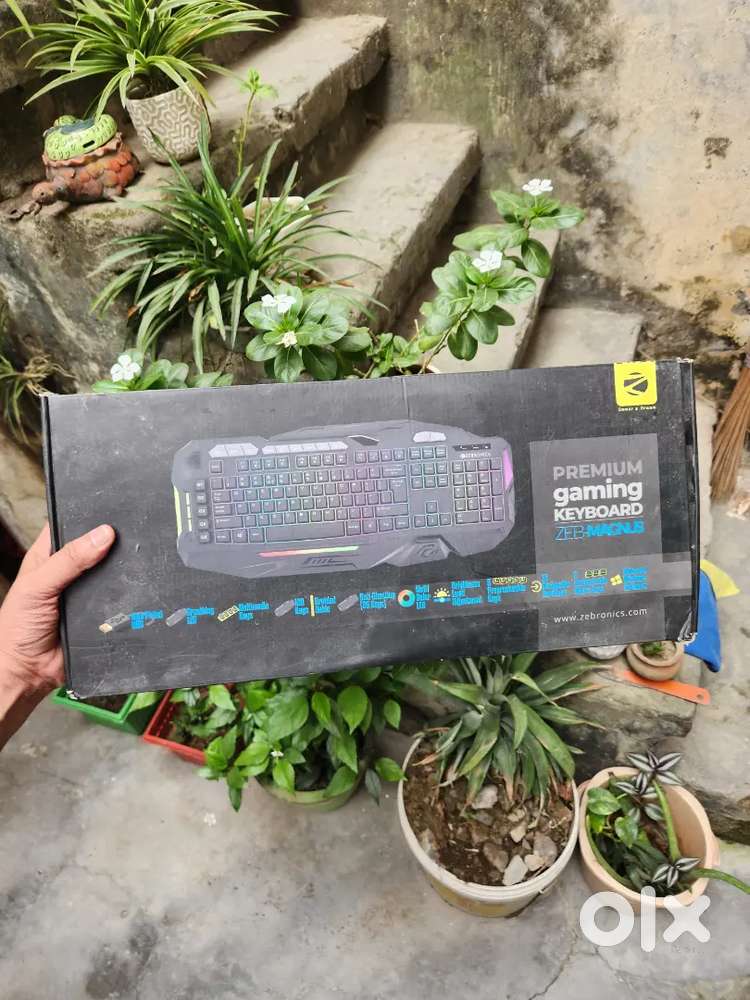 Zebronics Zeb Magnus Keyboard