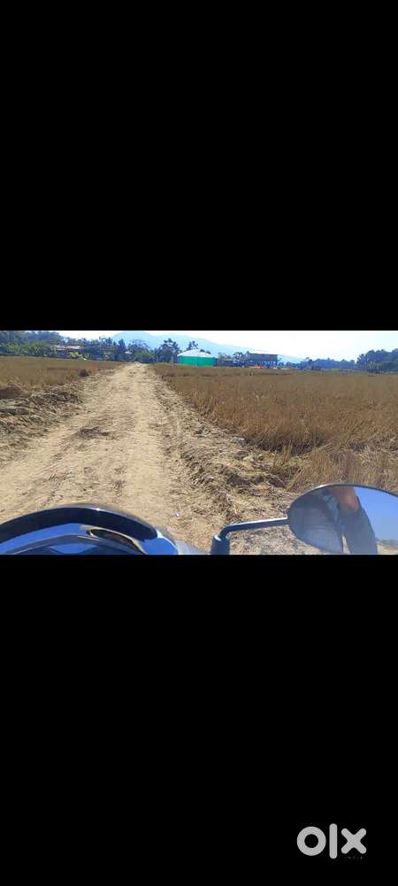 LAND / PLOT AVAILABLE FOR SALE AT SHOKHUVI VILLAGE CHUMUKEDIMA 2000