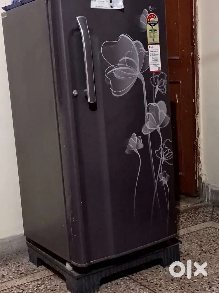 Lg refrigerator
