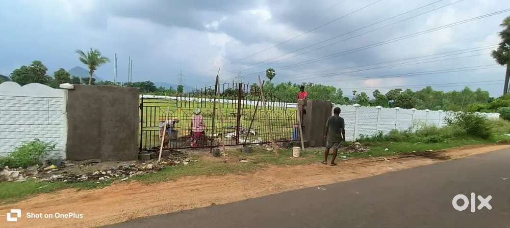 Residential Open plots available @Pendurthi