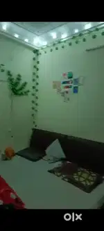 Need roommates