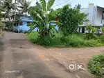 5.5 cents of residential land for sale at Chottanikkara