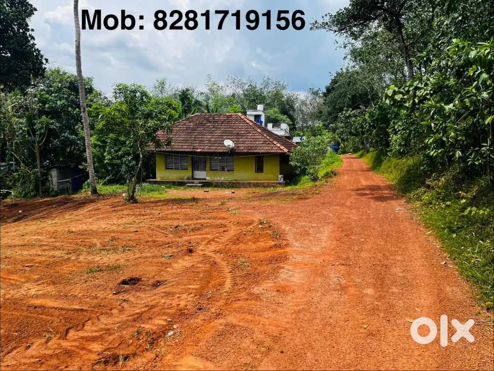 Plot for sale. Just 1 km from NH in kaduvapally near kallambalam