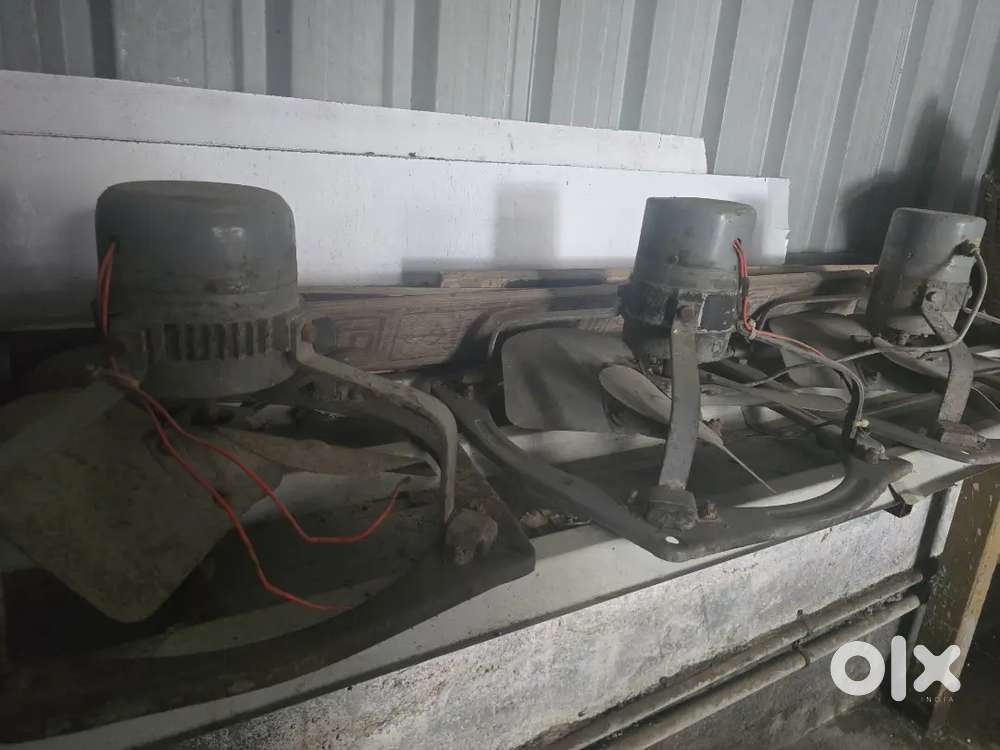 Havells heavy kitchen fan