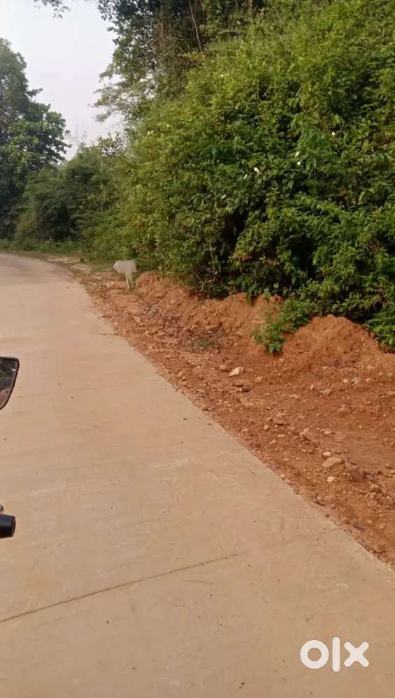 5 acre level land Bailur Karkala tq