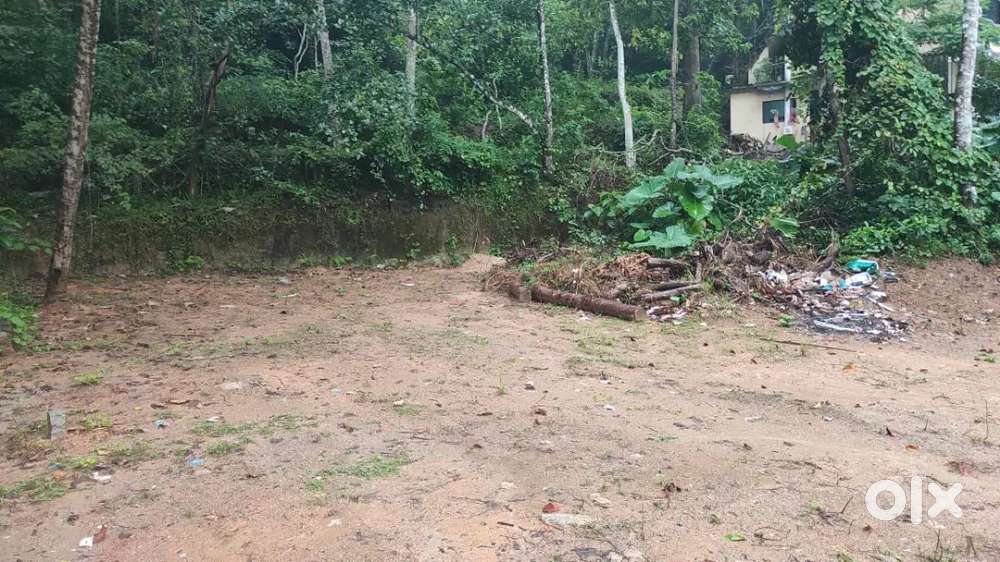 Plot for sale at karakulam