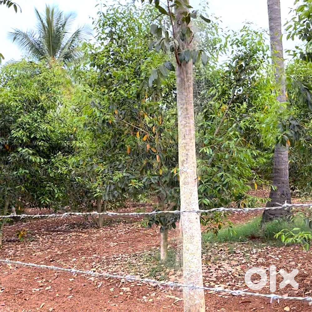 4.3 acre State Highway touch land near Wada town