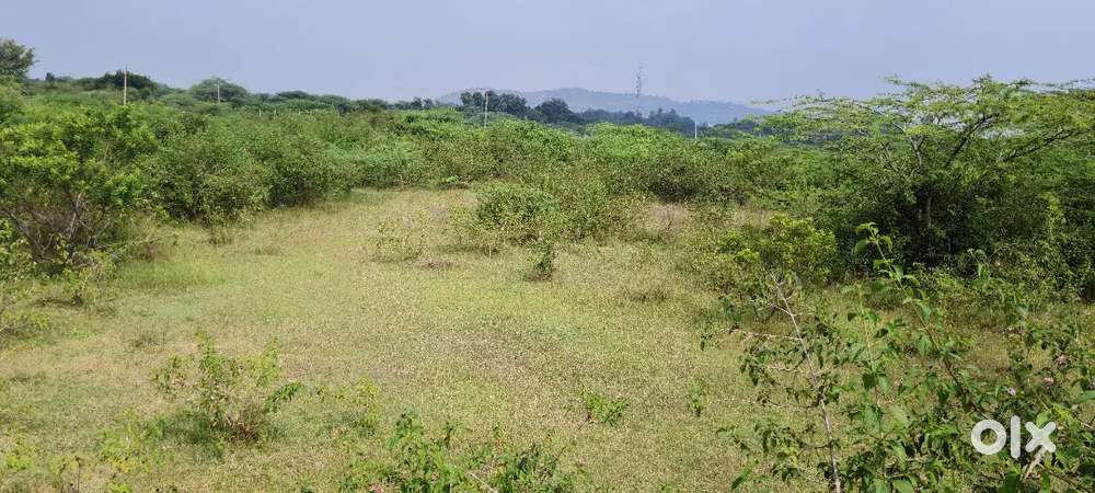 6.5 acres agriculture land in vayalpad mandal