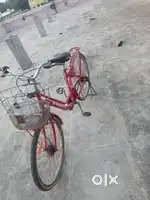 LadyBird Cycle