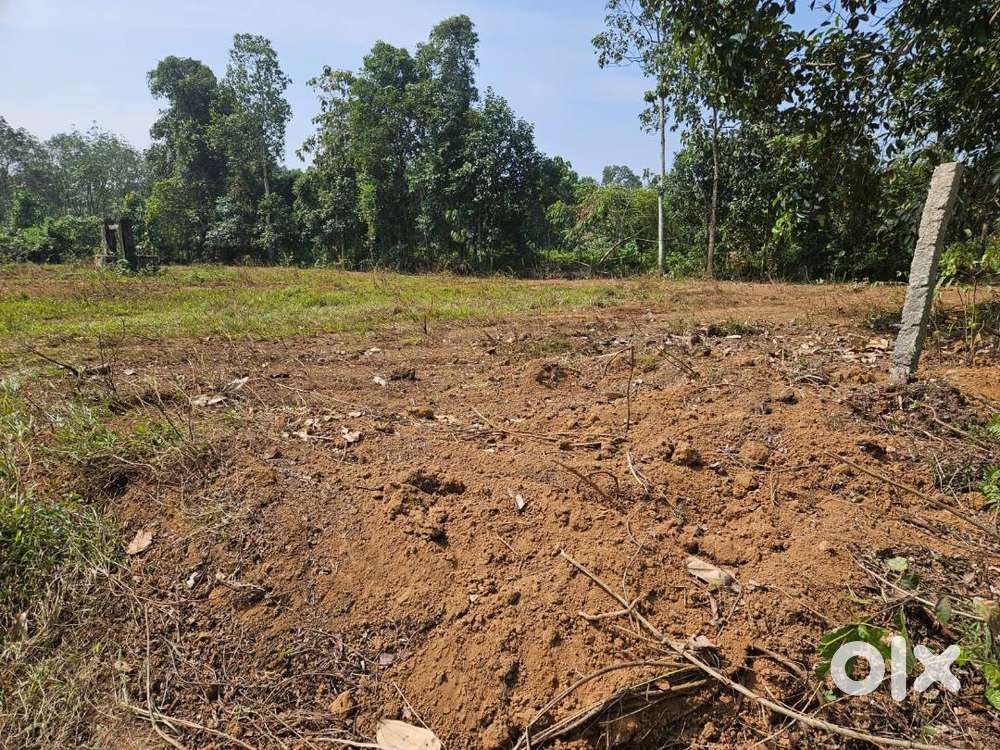 Land for sale R85000 Per cent. Suits residential, industry or farm