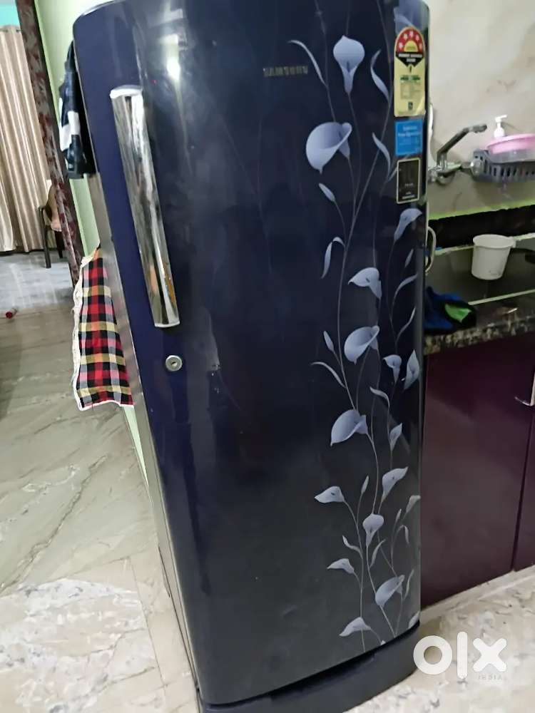Single door refrigerator