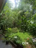 4.5 cents residential plot for sale at kureekkad , Thiruvankulam.