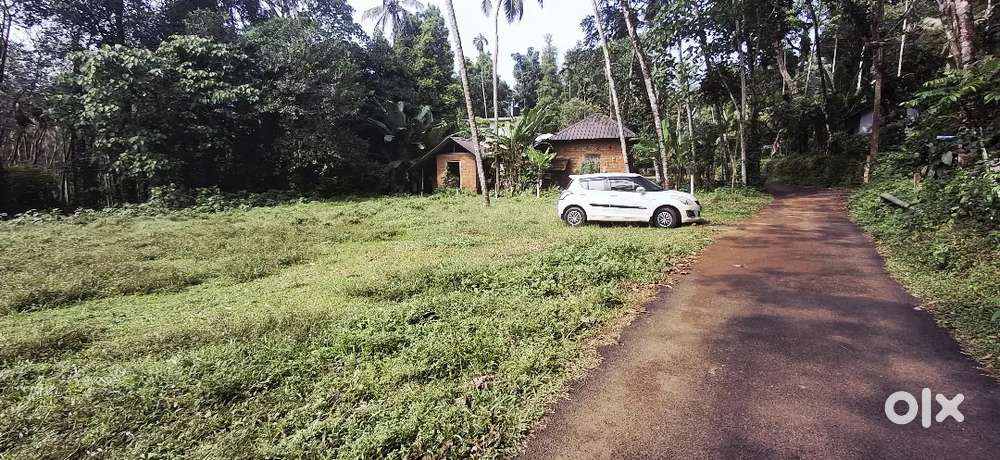 27 CENT 13 CENT HOUSE AVAILABLE NEAR MEKKADAMBU