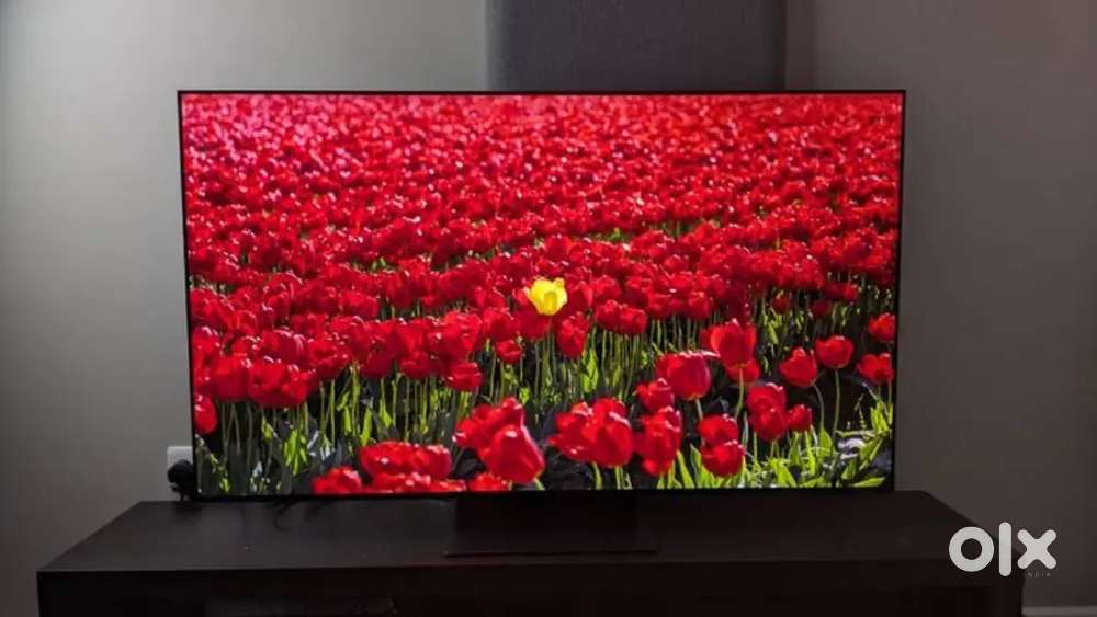 43 WebOs Model Available 2 Years Onsite Warranty