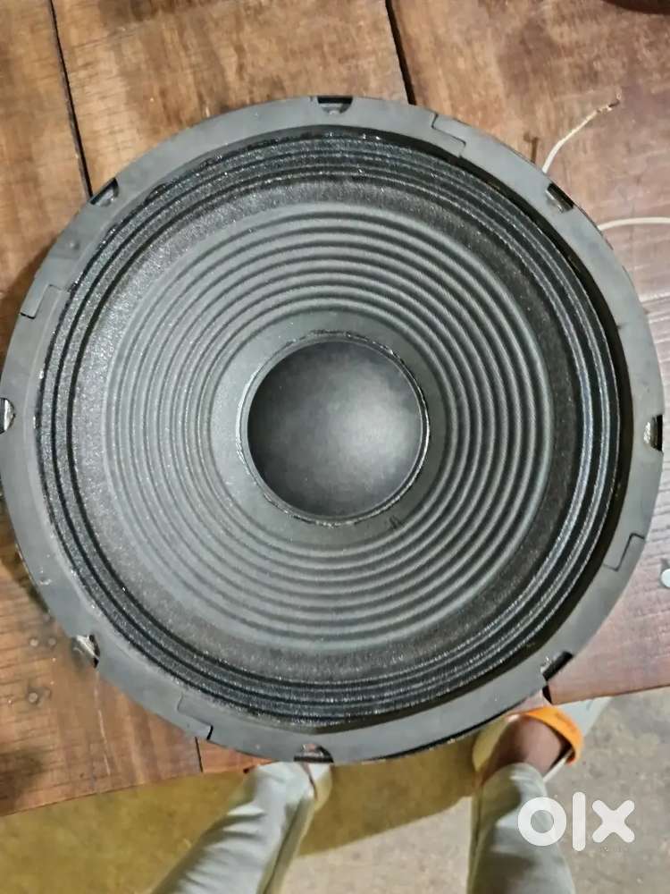 12 inch speekar 250 watt