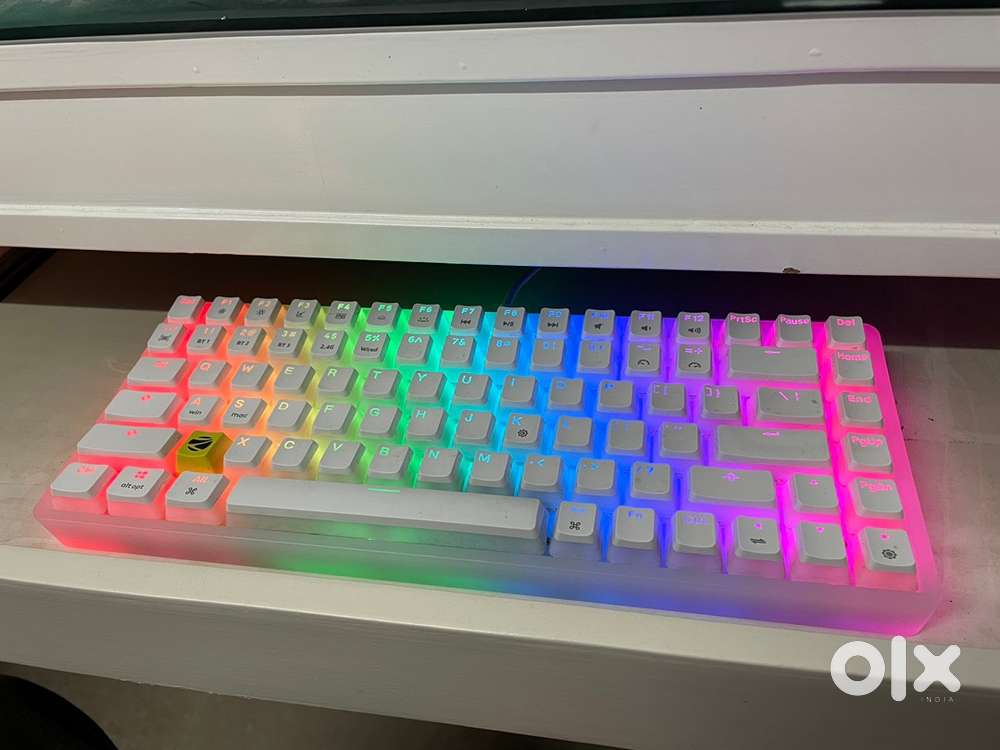 Zebronics mechanical keyboard