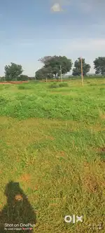 Lands sale