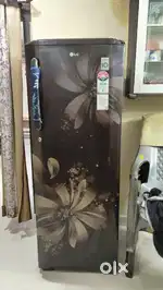 8 year old 5 Star Lg fridge for sale