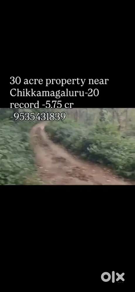Clear title 30acre plantation for sale in chikkamagaluru