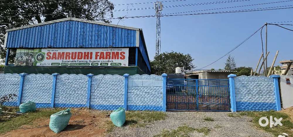 Samrudhi  farm in elevated Shed