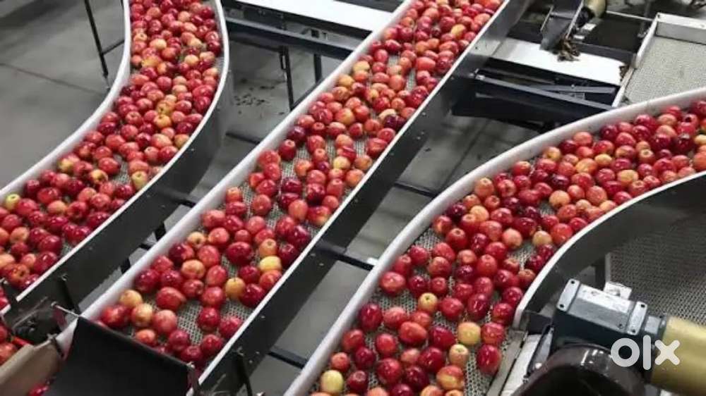 Wanted daily wages counter staffs / packing staffs