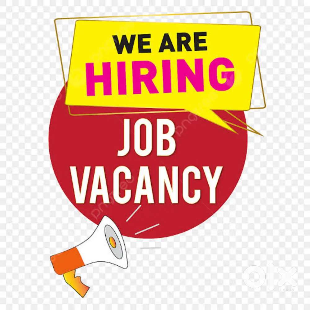 Delivery executive required