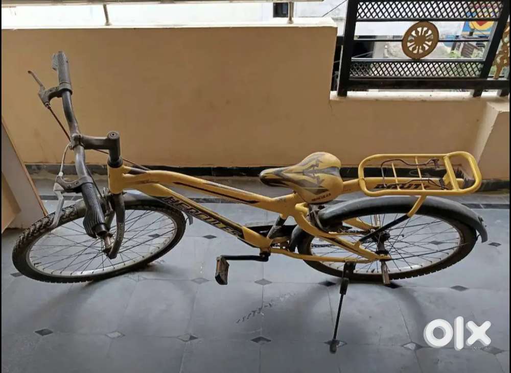 Hercules brute cycle