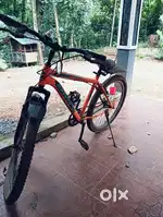 DNS beast bicycle