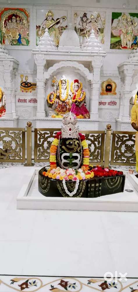 Urgent need  lone recovery agent fild work