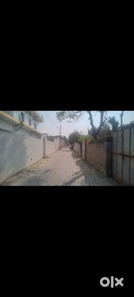 10 biswe ch House Village dhode near Rara sahib