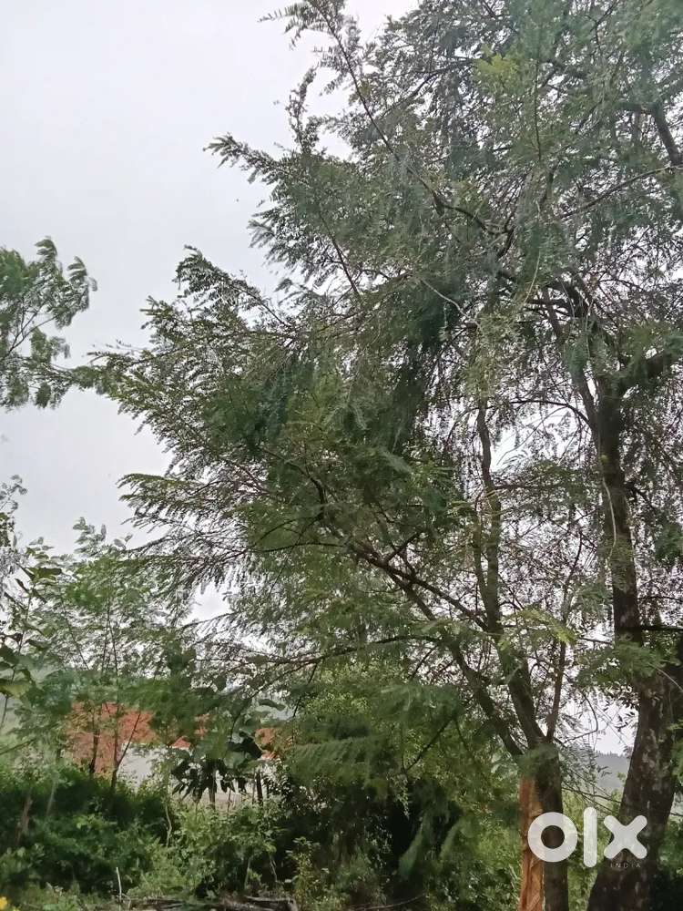 Plot kheti krne ke liy