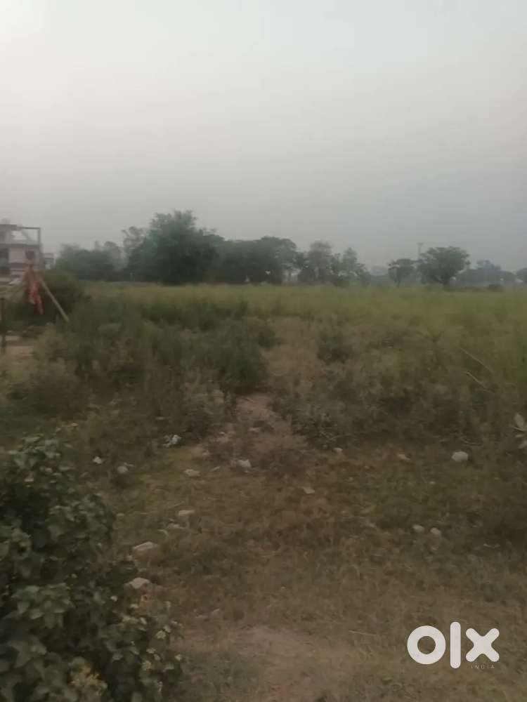 300 gaj 100 ft and 60 ft road facing plot for sale in sector 123 gmada