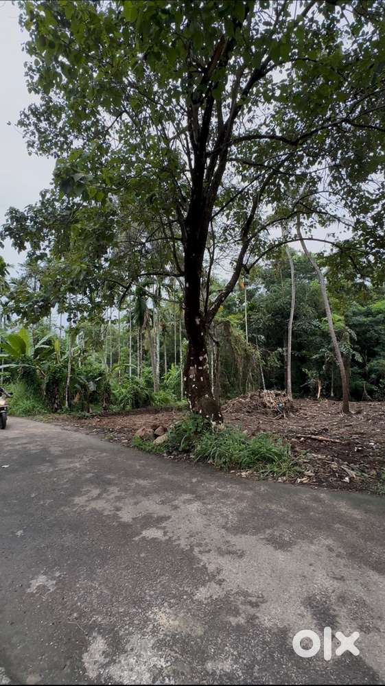 7 cent square plot for sale near mala town