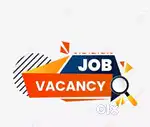 Job hiring for freshers