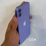 Selling my 6 months old iphone 12 , need urgent money