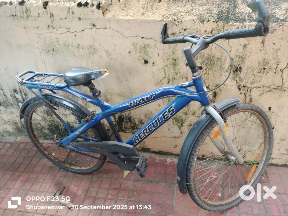 Hercules Cycle