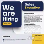 We are hiring for a sales person in our agency